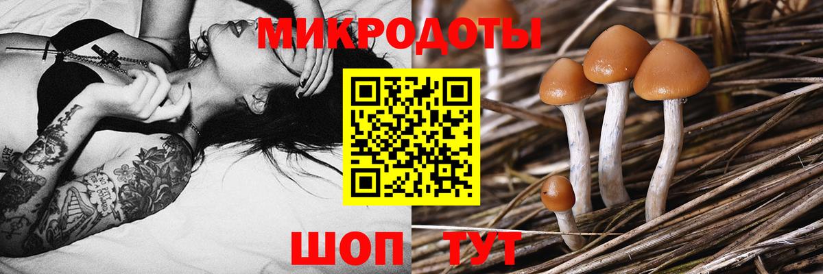 Галлюциногенные грибы Psilocybe Южно-Сахалинск